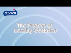 Streng standardisierter Versandprozess